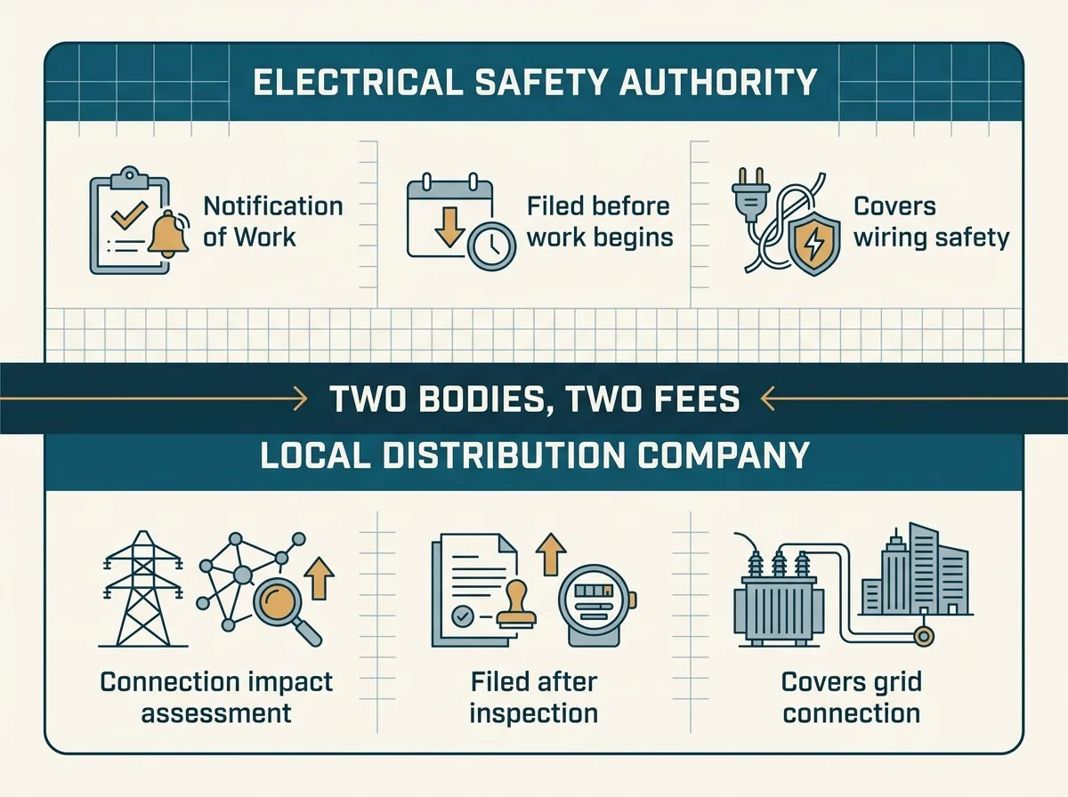 Flat vector diagram showing two separate labelled lanes, the upper lane reading Electrical Safety Authority, Notification of Work, filed before work begins, covers wiring safety, and the lower lane reading Local distribution company, Connection impact assessment, filed after inspection, covers grid connection, with a divider between them labelled Two bodies, two fees