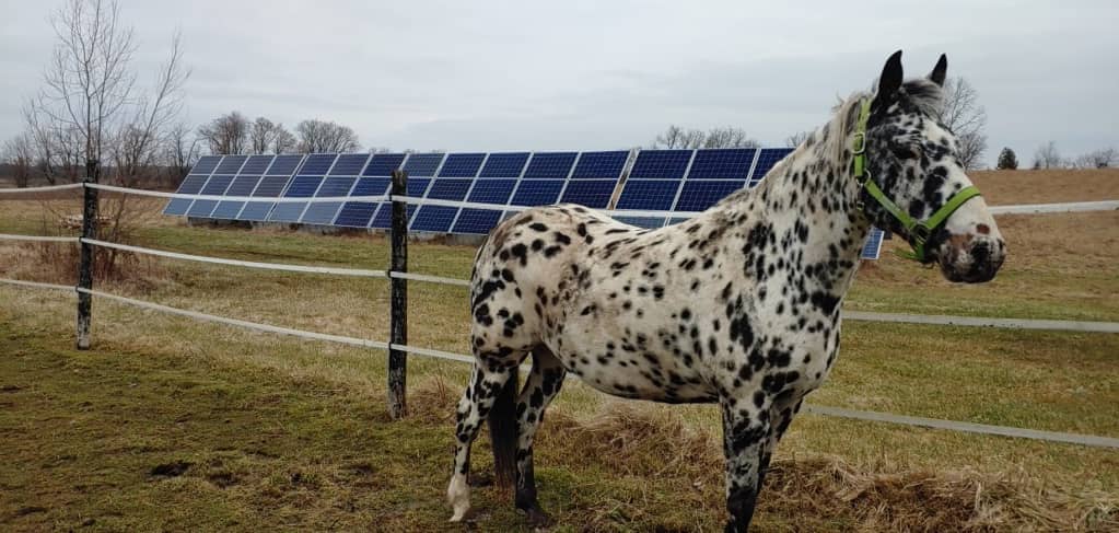 Centre Star Solar photo 3