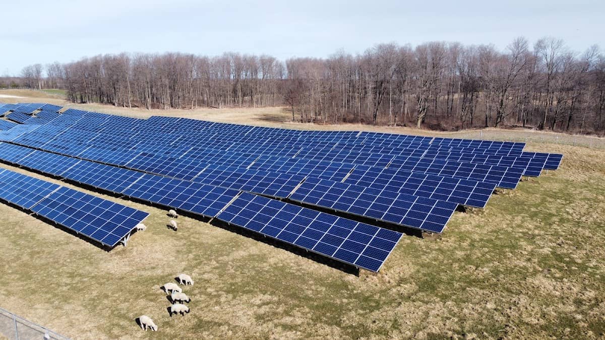 First Green Energy Ltd.