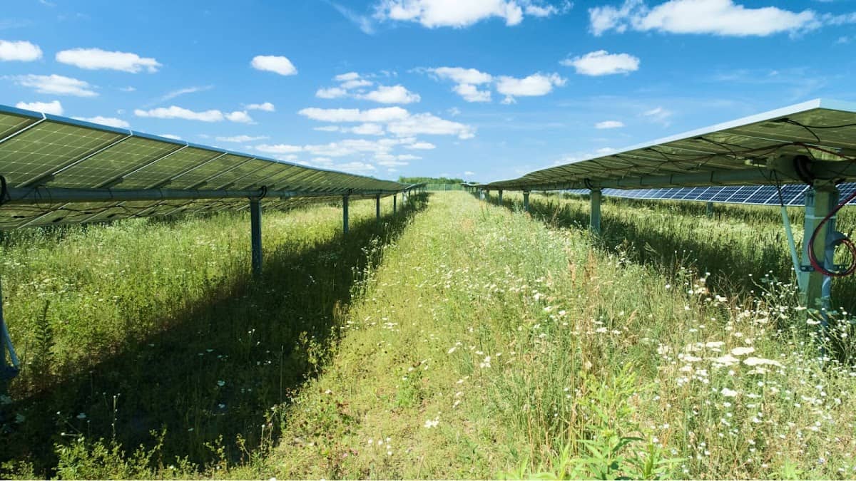 OYA Renewables photo 2